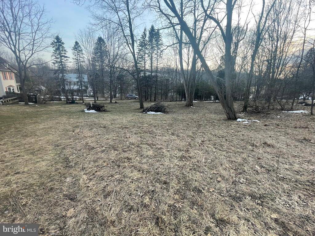 Port Matilda, PA 16870,LOT ON BUFFALO RUN ROAD RD