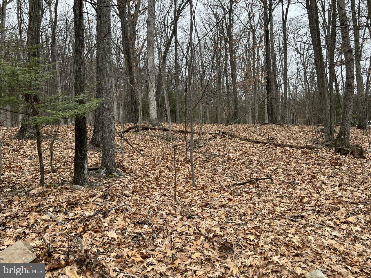 Hedgesville, WV 25427,0 FAWN RUN LN #LOT 27