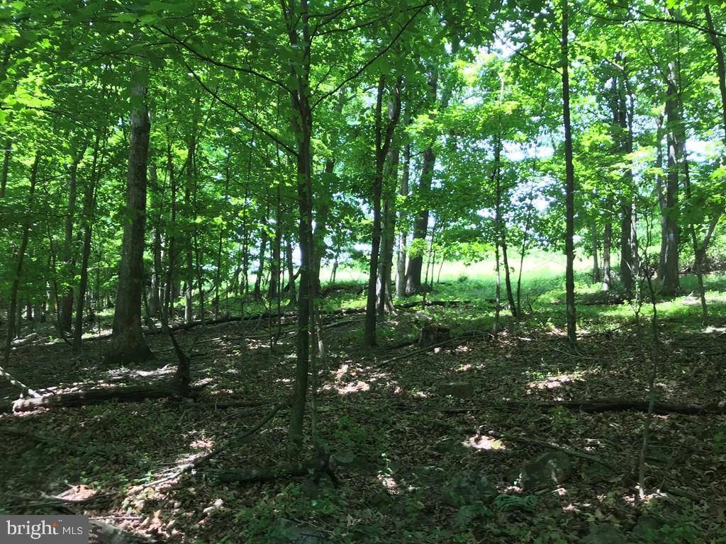 Mifflintown, PA 17059,LOT ORWIG DRIVE DR