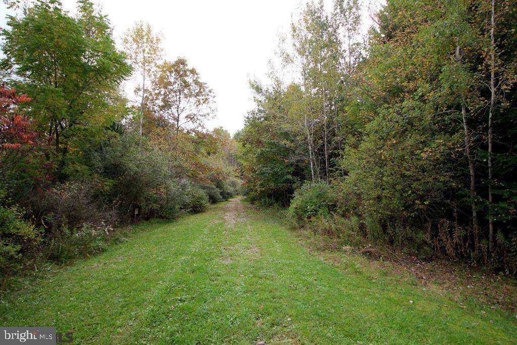 Moshannon, PA 16859,LOT ON W SYCAMORE ROAD RD