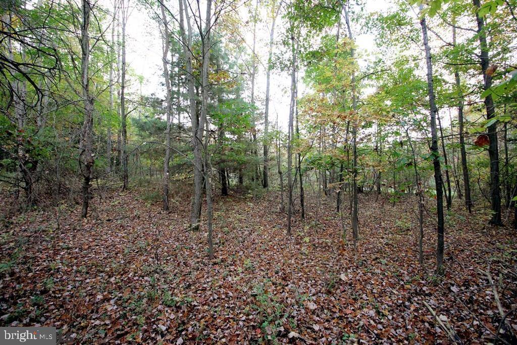 Moshannon, PA 16859,LOT ON W SYCAMORE ROAD RD