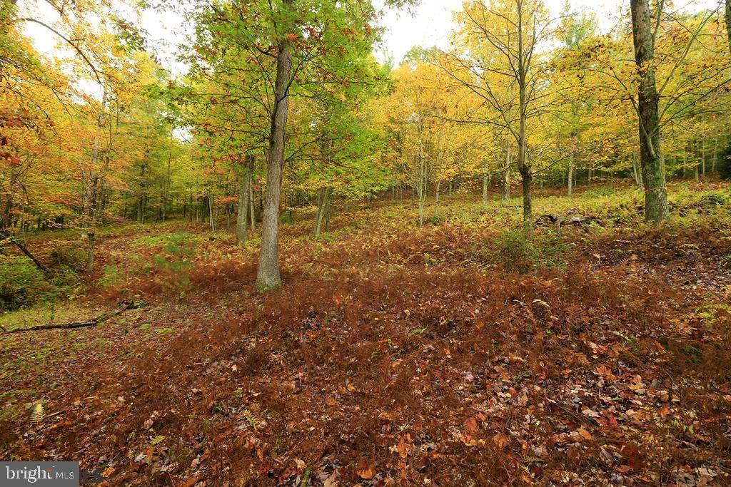 Spring Mills, PA 16875,ON ELMOS LN #LOT 2