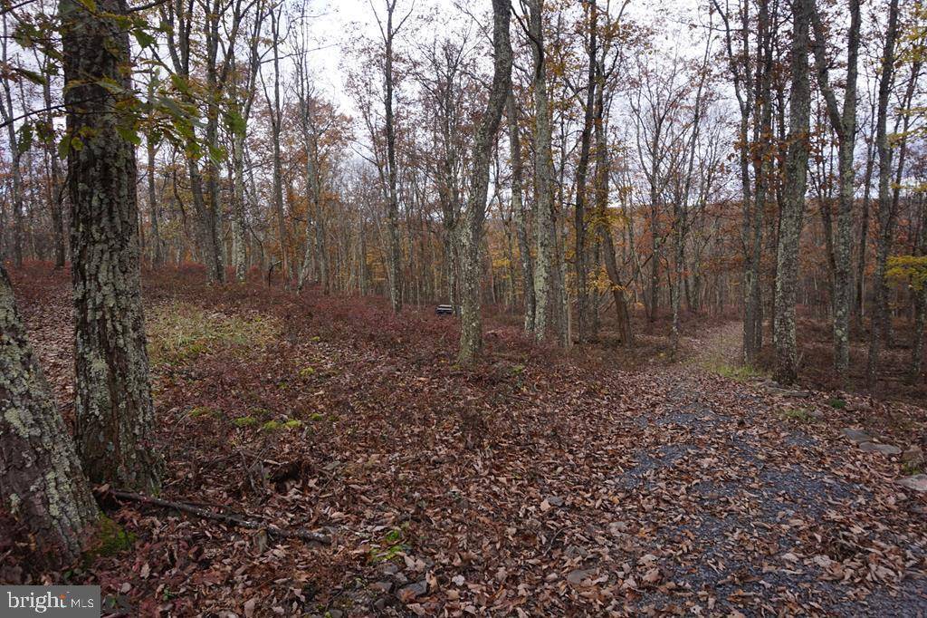 Snow Shoe, PA 16874,LOT #17 HICKLEN RIDGE ROAD RD