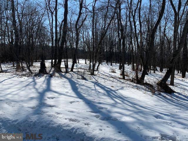 Bellefonte, PA 16823,LOT ON PURDUE MOUNTAIN ROAD RD