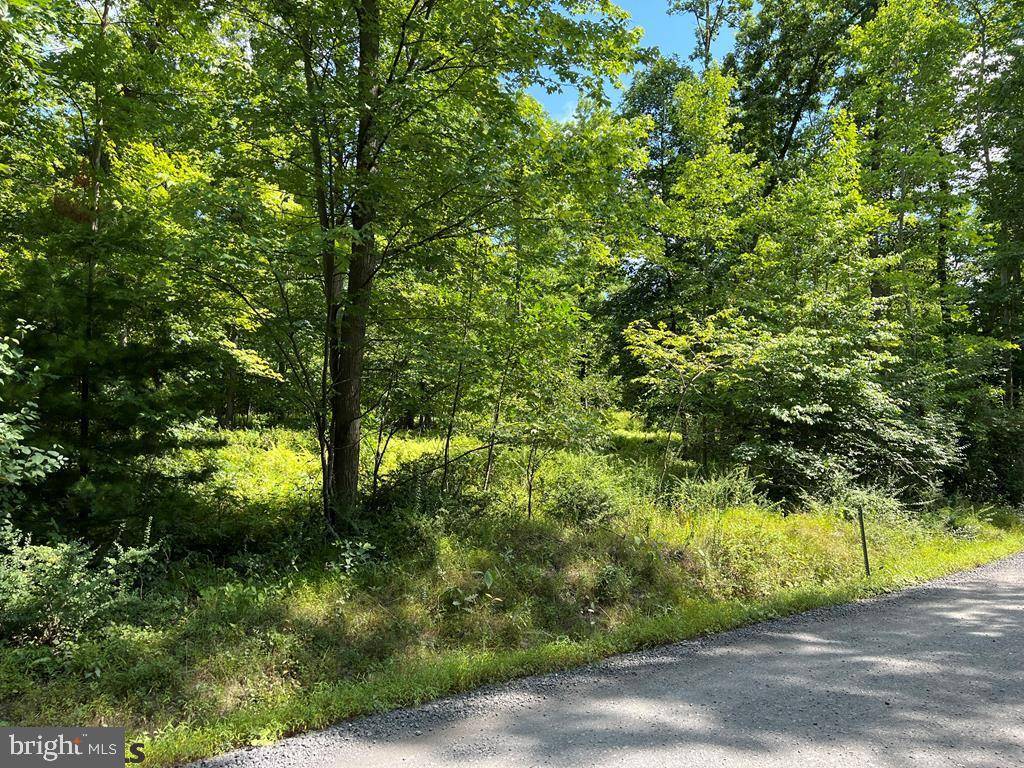 Spring Mills, PA 16875,LOT 3E DECKER VALLEY ROAD RD