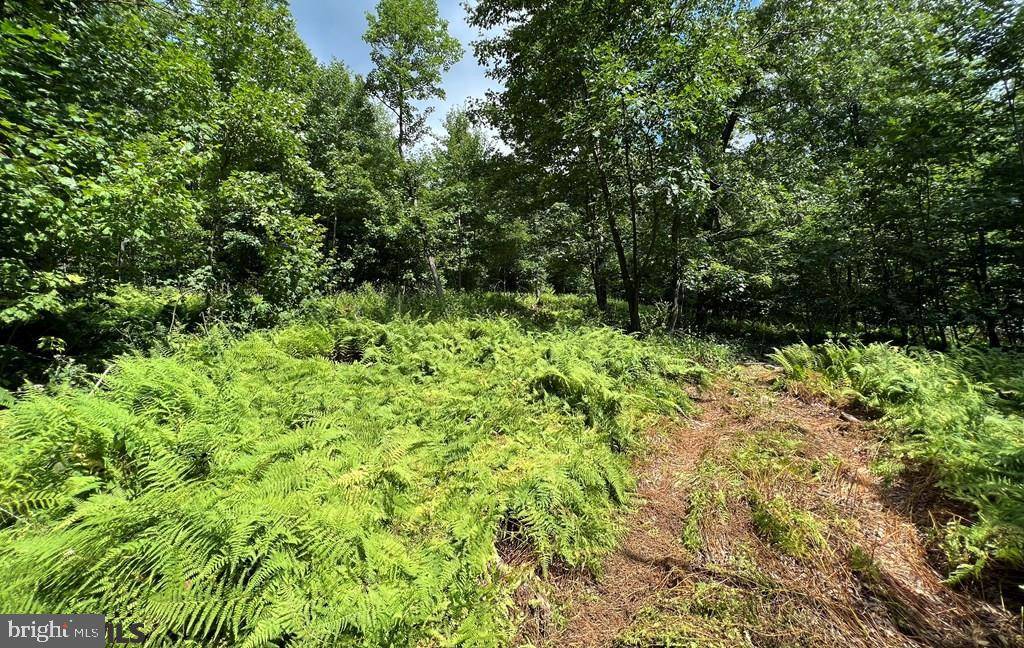 Spring Mills, PA 16875,LOT 3C DECKER VALLEY ROAD RD