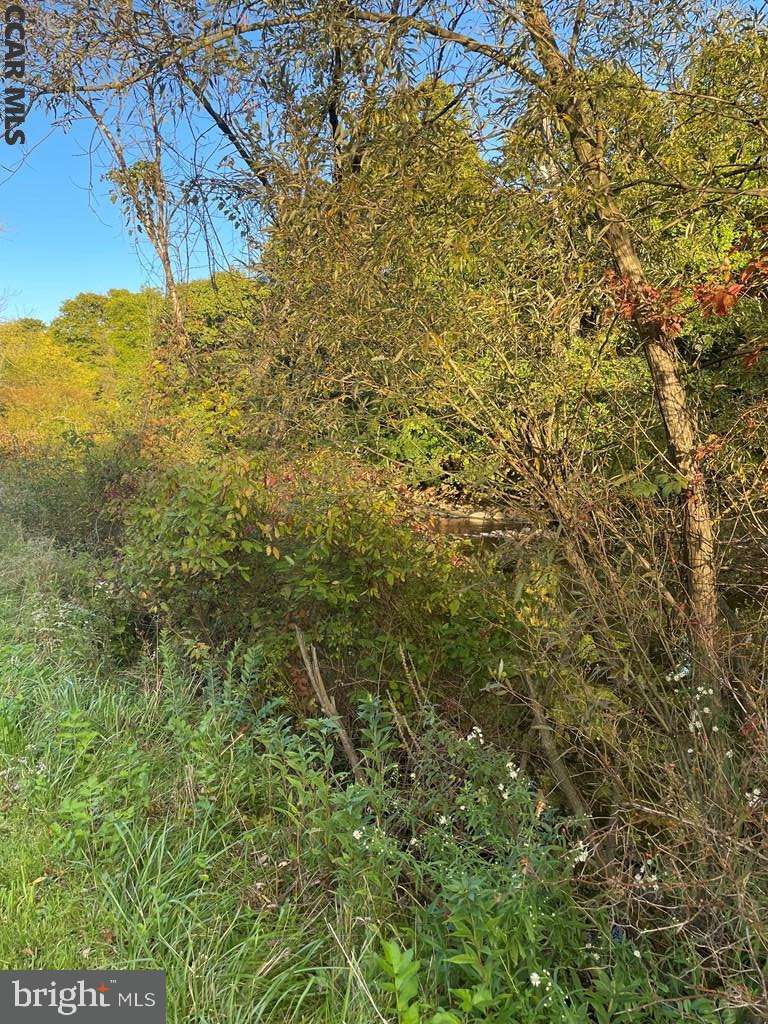 Coburn, PA 16832,LOT ON PENNS CREEK ROAD RD