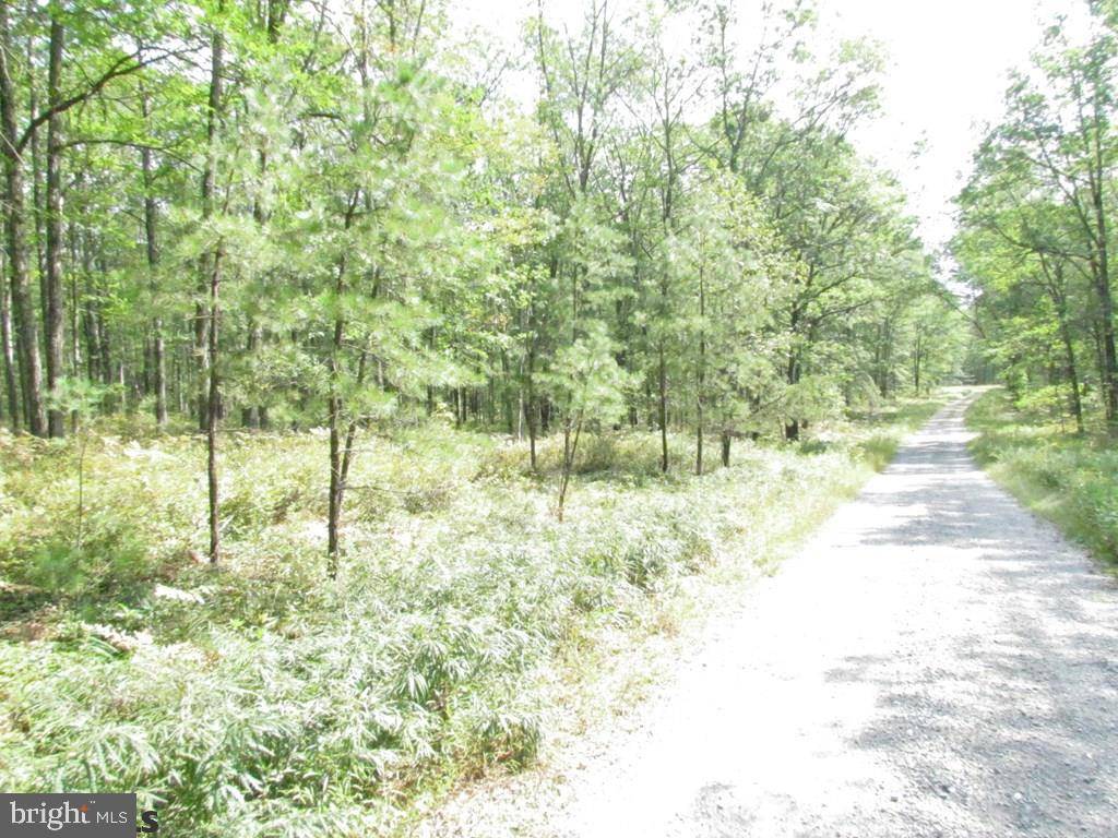 Snow Shoe, PA 16874,LOT #23 LITTLE WOLF RUN RIDGE ROAD RD