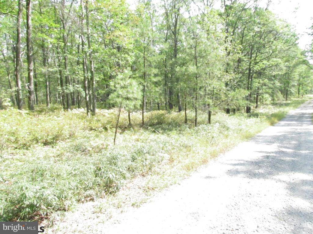 Snow Shoe, PA 16874,LOT #23 LITTLE WOLF RUN RIDGE ROAD RD