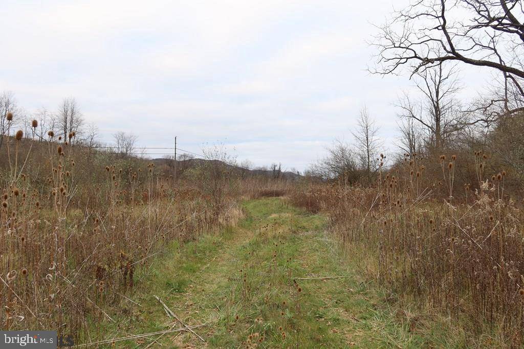 Port Matilda, PA 16870,LOT ON STEVENSON ROAD RD