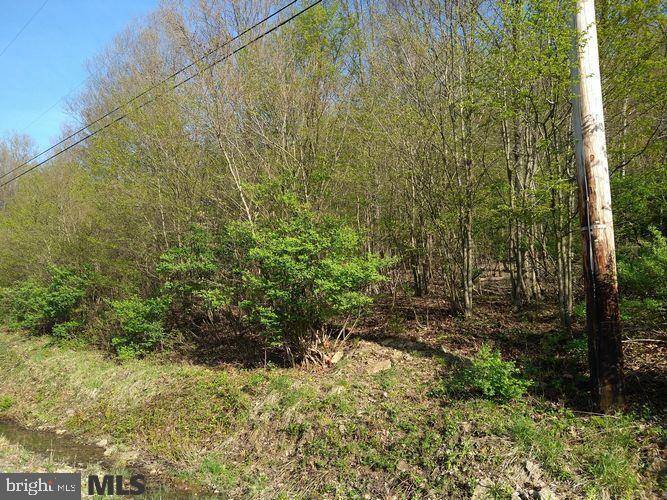 Clarence, PA 16829,LOT OFF PANCAKE ROAD RD