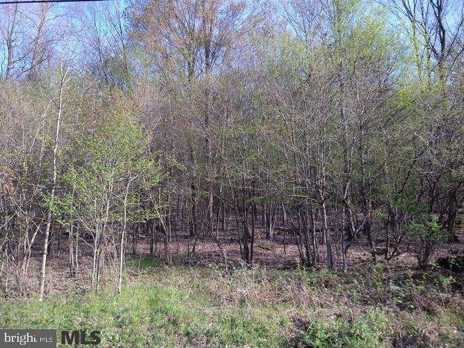 Clarence, PA 16829,LOT OFF PANCAKE ROAD RD