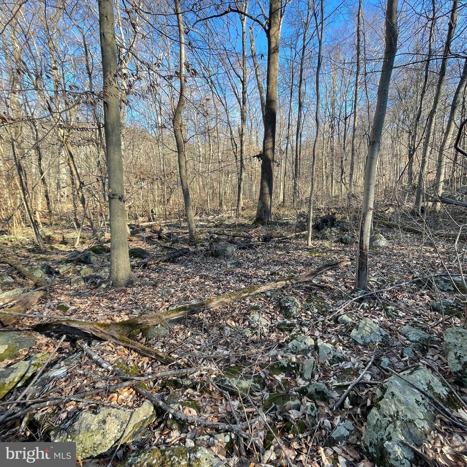 Myersville, MD 21773,000 FISHERS HOLLOW RD