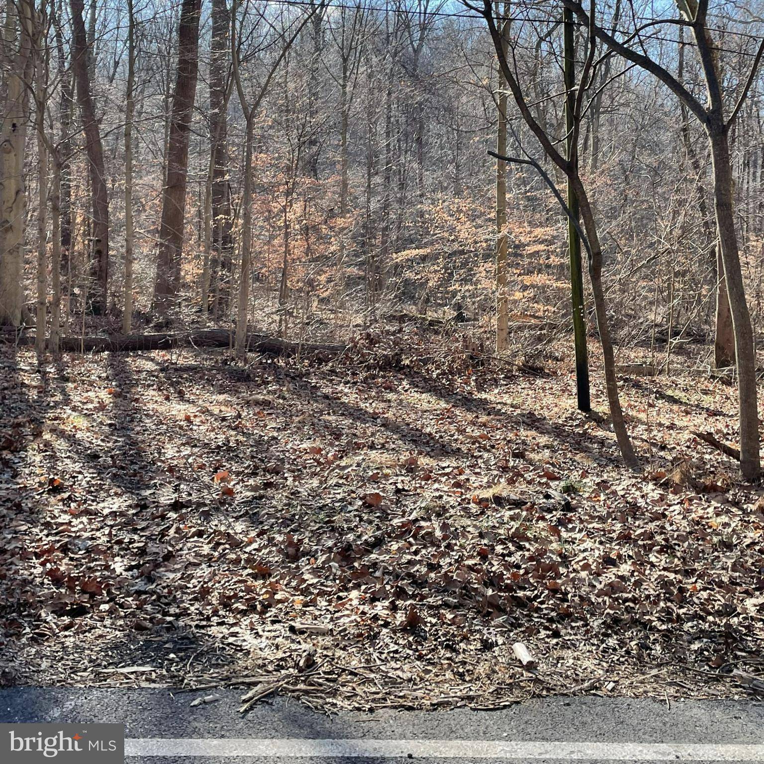 Myersville, MD 21773,000 FISHERS HOLLOW RD