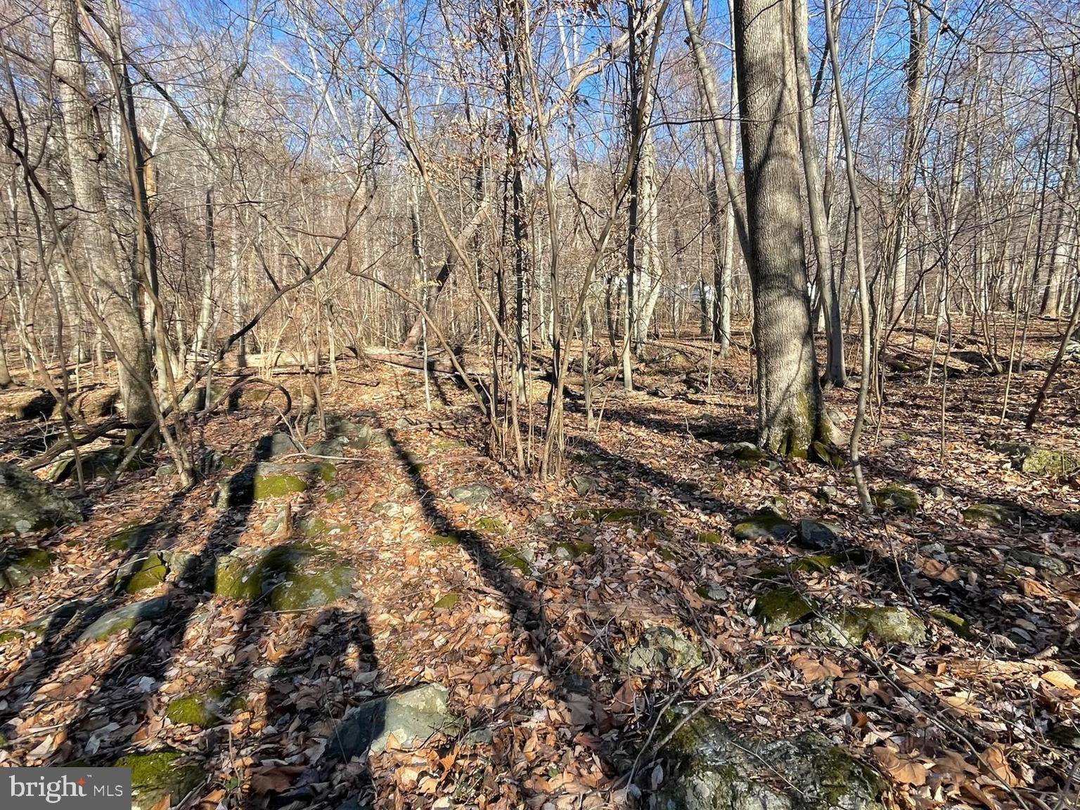 Myersville, MD 21773,LOT 6 FISHERS HOLLOW ROAD