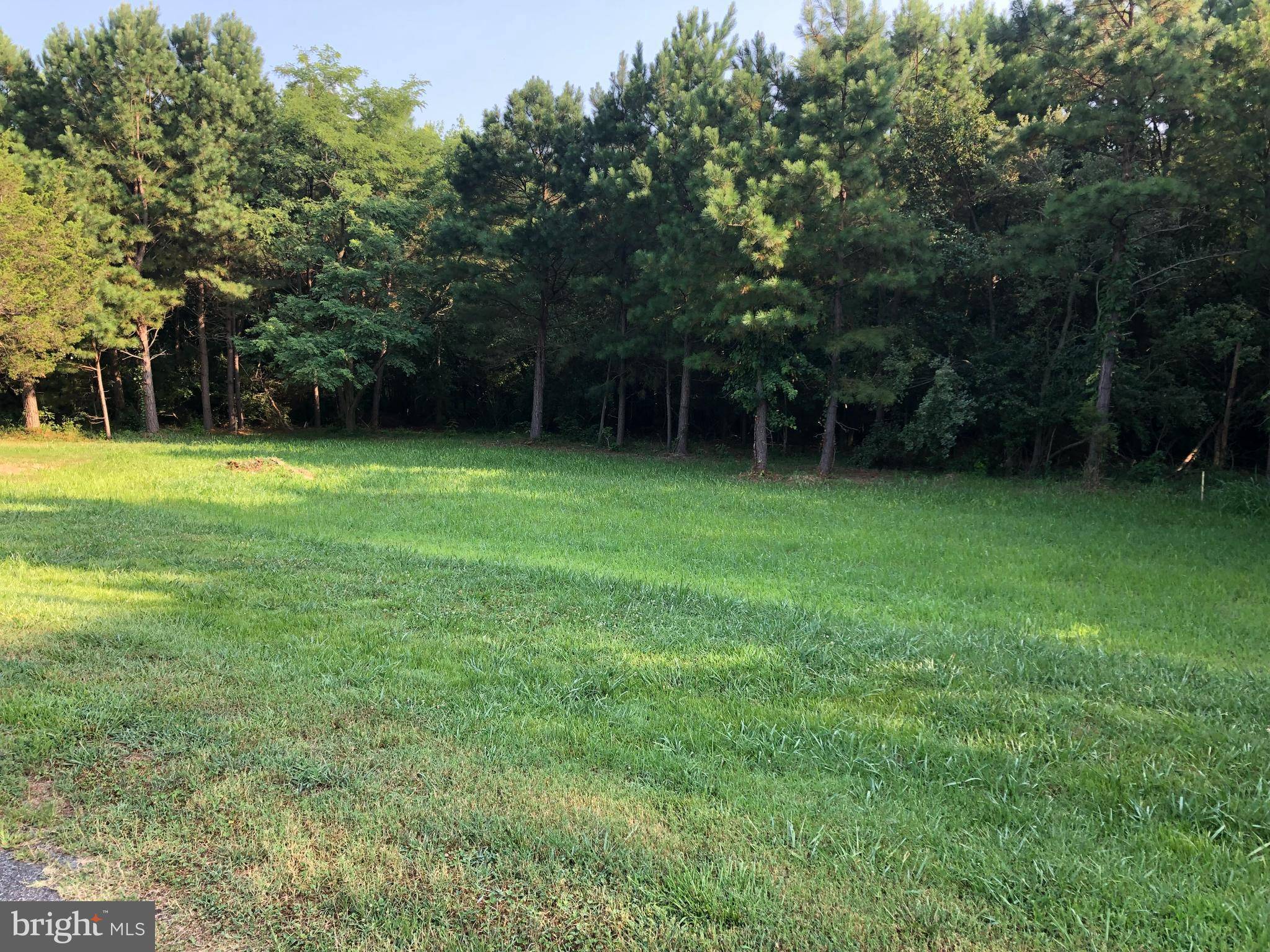 Trappe, MD 21673,LOT 2 BOLINGBROKE LANE