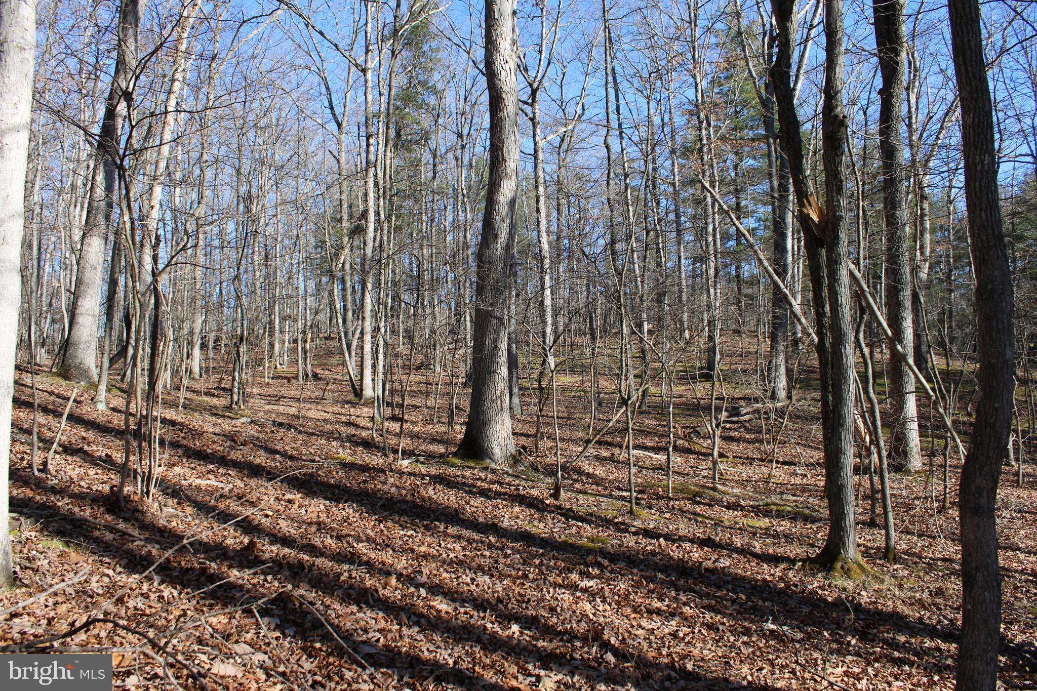 Paw Paw, WV 25434,LOT 34 WHISPERING PINES RD