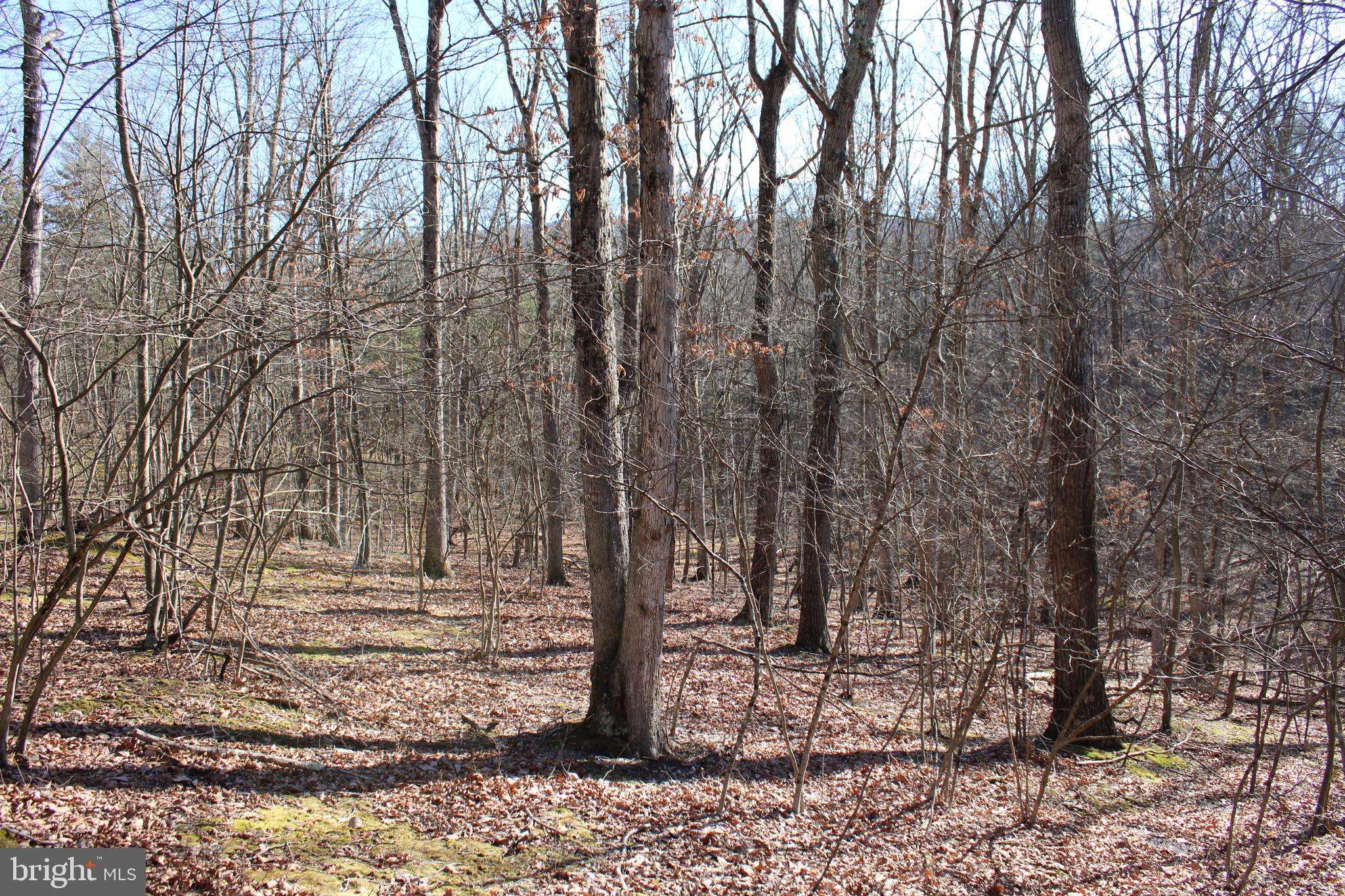 Paw Paw, WV 25434,LOT 34 WHISPERING PINES RD