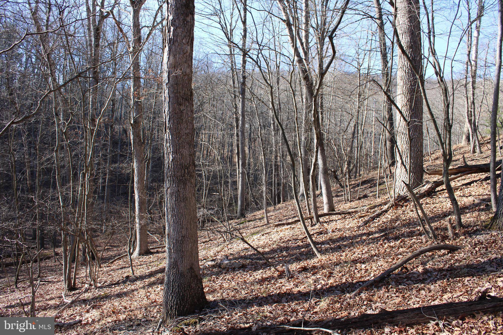 Paw Paw, WV 25434,LOT 34 WHISPERING PINES RD