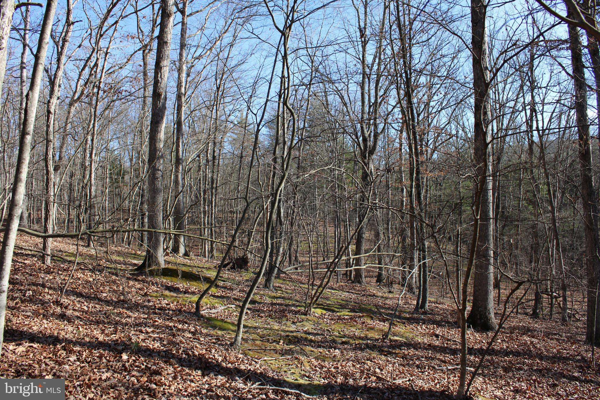 Paw Paw, WV 25434,LOT 34 WHISPERING PINES RD