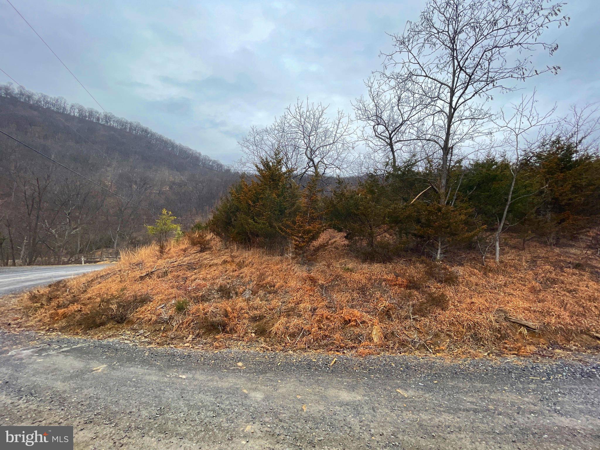 Old Fields, WV 26845,AJ KELLEY RD