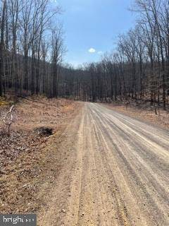 Mathias, WV 26812,LOT 35 TROUT PASS