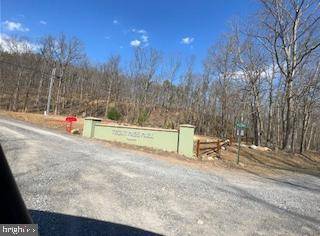 Mathias, WV 26812,LOT 35 TROUT PASS