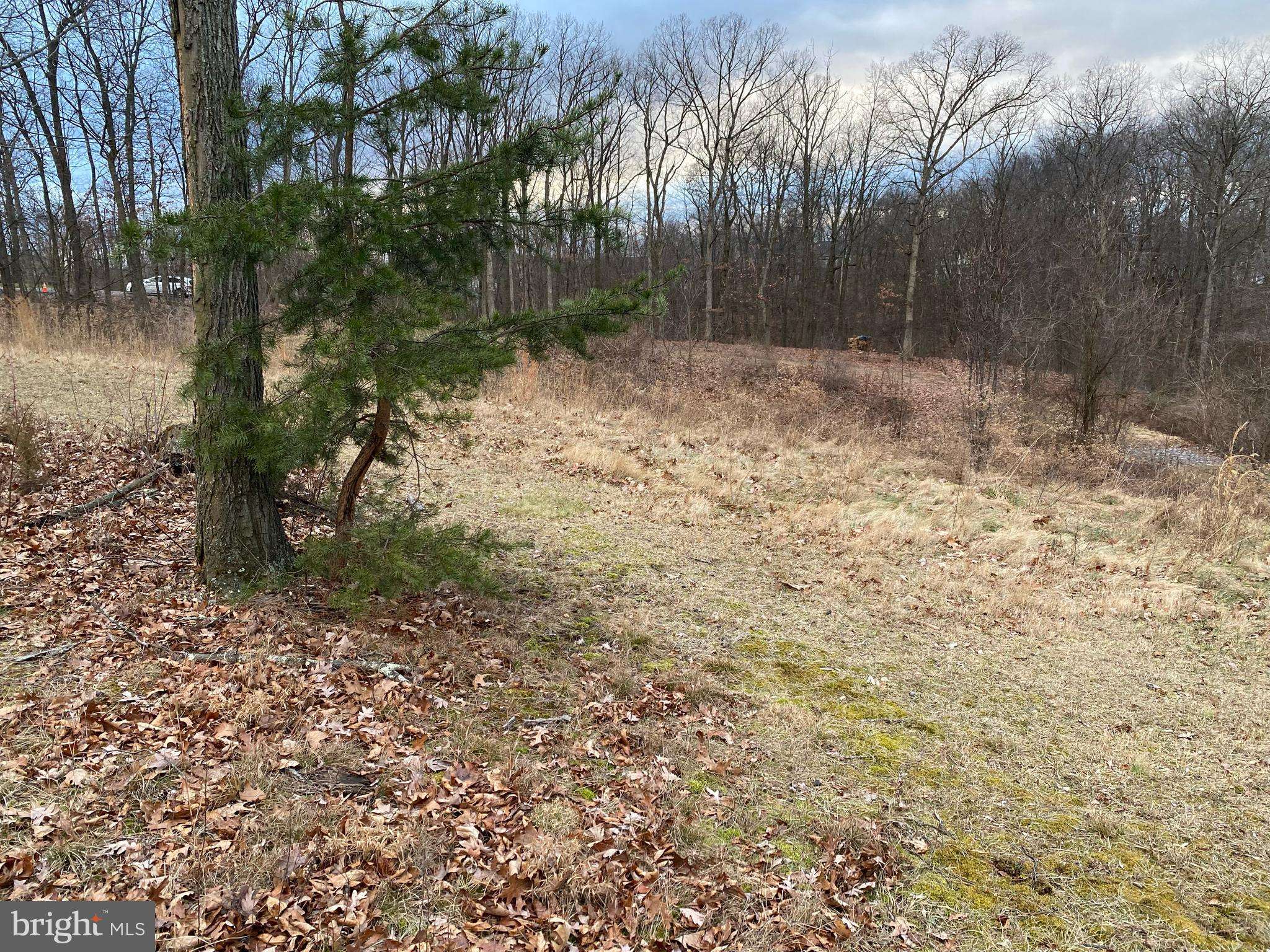 Chambersburg, PA 17202,LOT 149 MAHANTANGO DRIVE