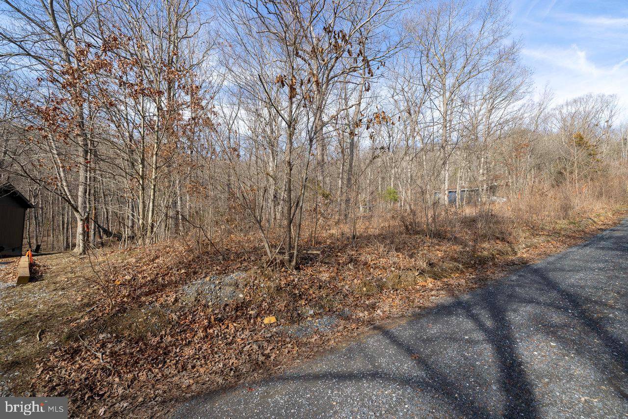 Luray, VA 22835,LOT 29 LAKE DR