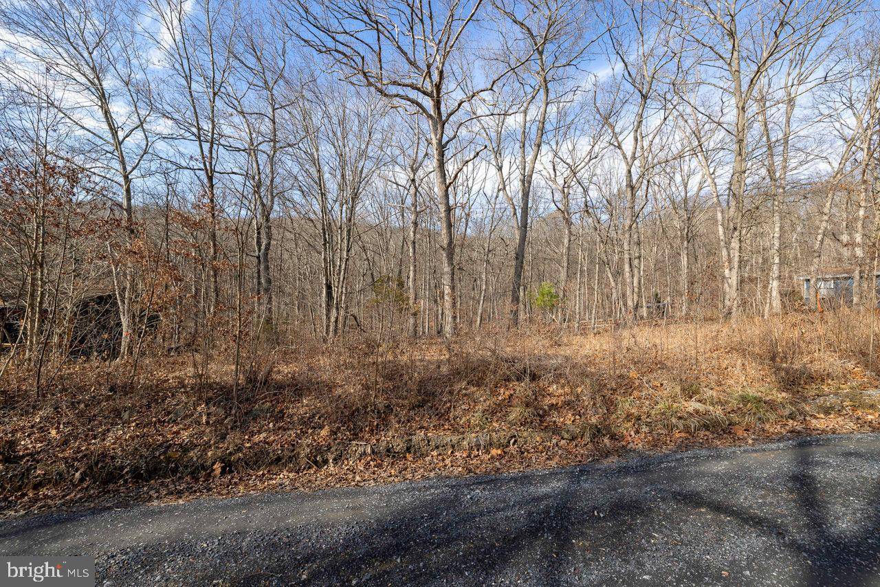 Luray, VA 22835,LOT 29 LAKE DR