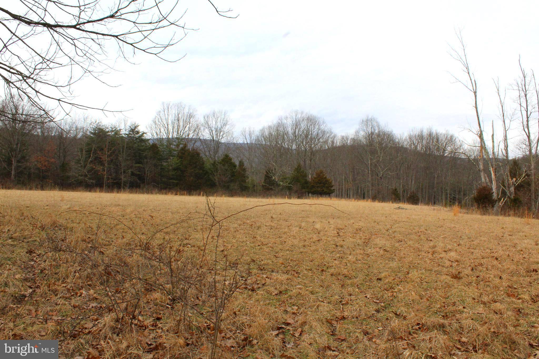 Maysville, WV 26833,15.50 ACRES OFF JORDAN RUN RD