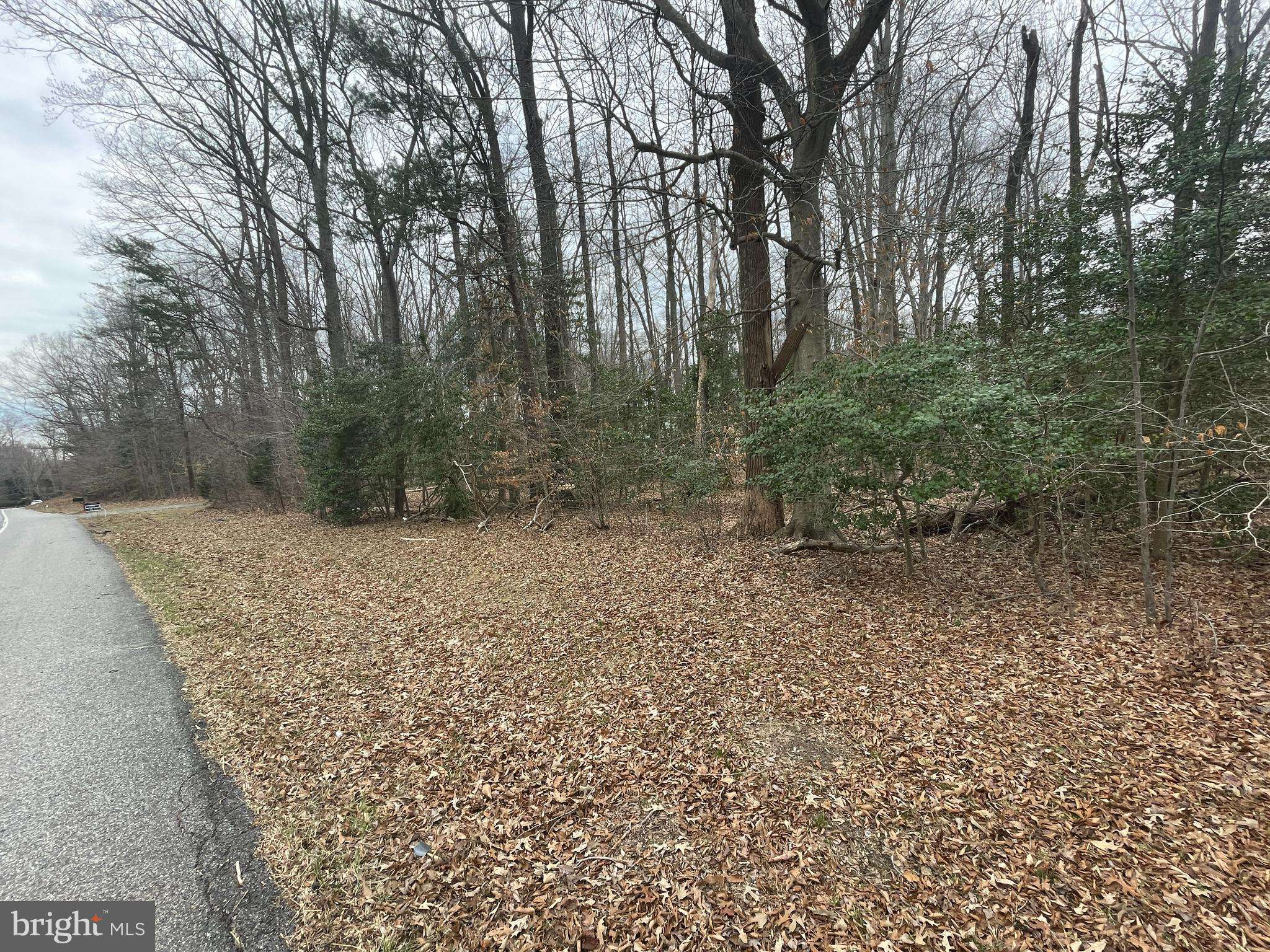 Port Republic, MD 20676,LOT 41 BROOMES ISLAND RD