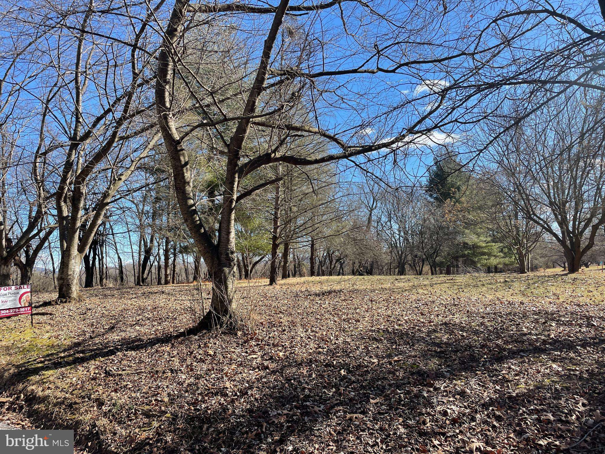 Shenandoah Junction, WV 25442,LOT 2 SHADE TREE LANE