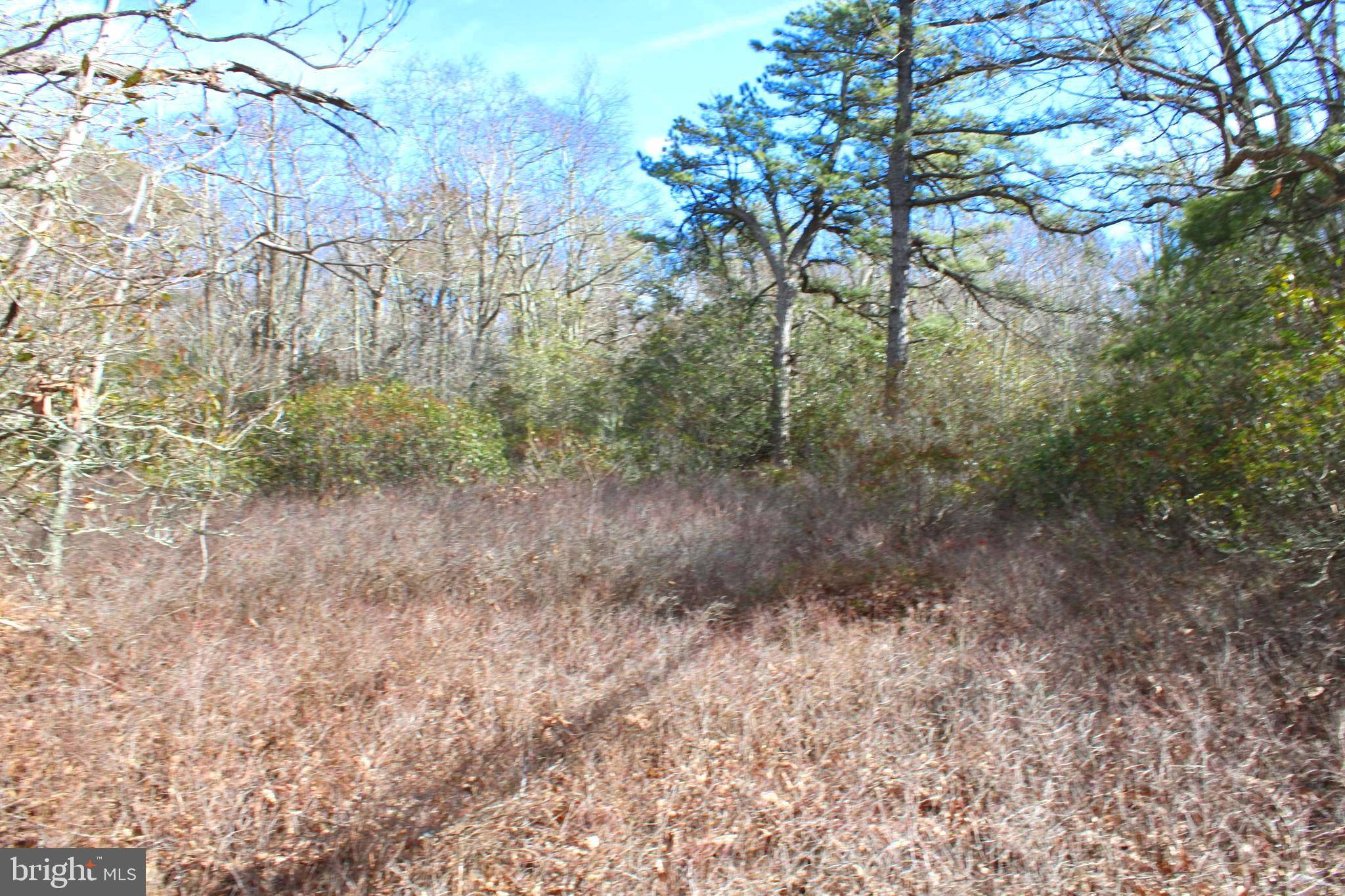 Moorefield, WV 26836,LOT 270 SOUTH BRANCH MOUNTAIN RD