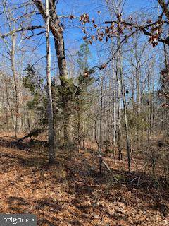 Louisa, VA 23093,LOT 2 HICKORY CREEK RD. #2