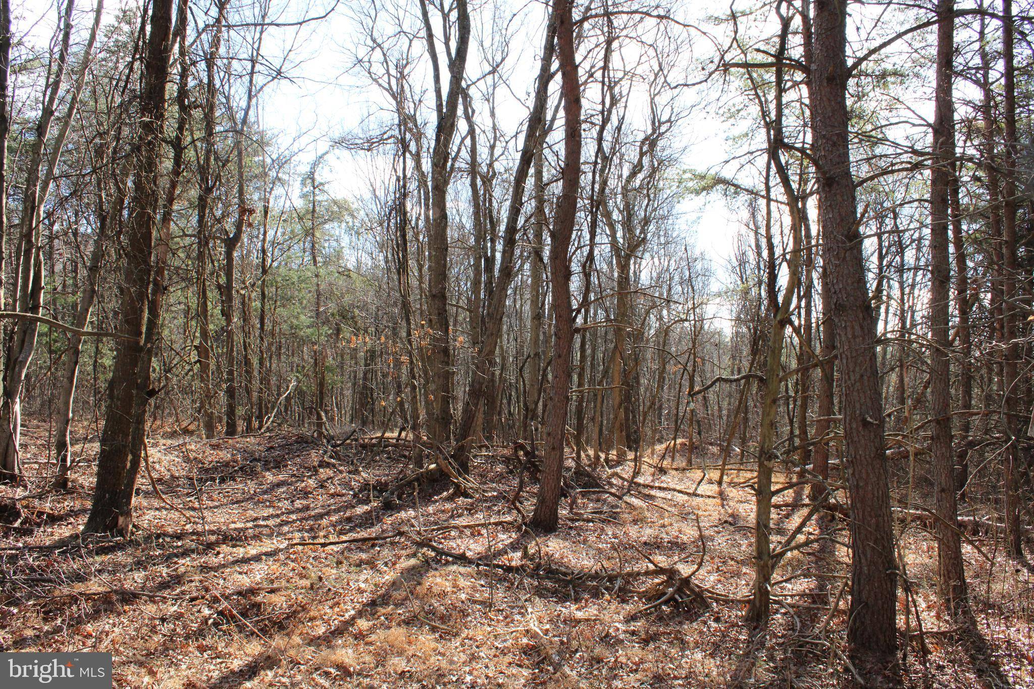 Moorefield, WV 26836,LOT 317 WINTERBERRY DR