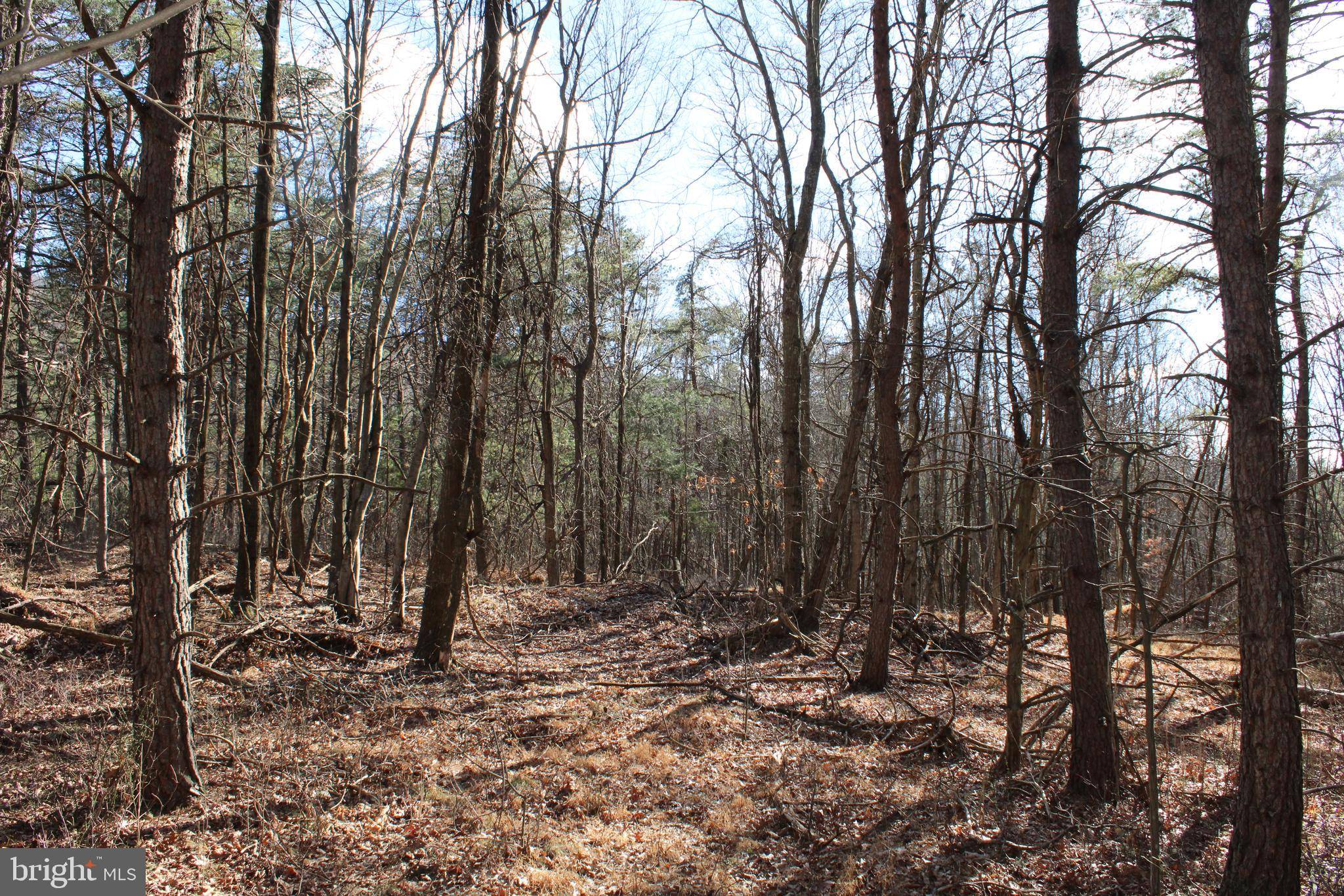 Moorefield, WV 26836,LOT 317 WINTERBERRY DR