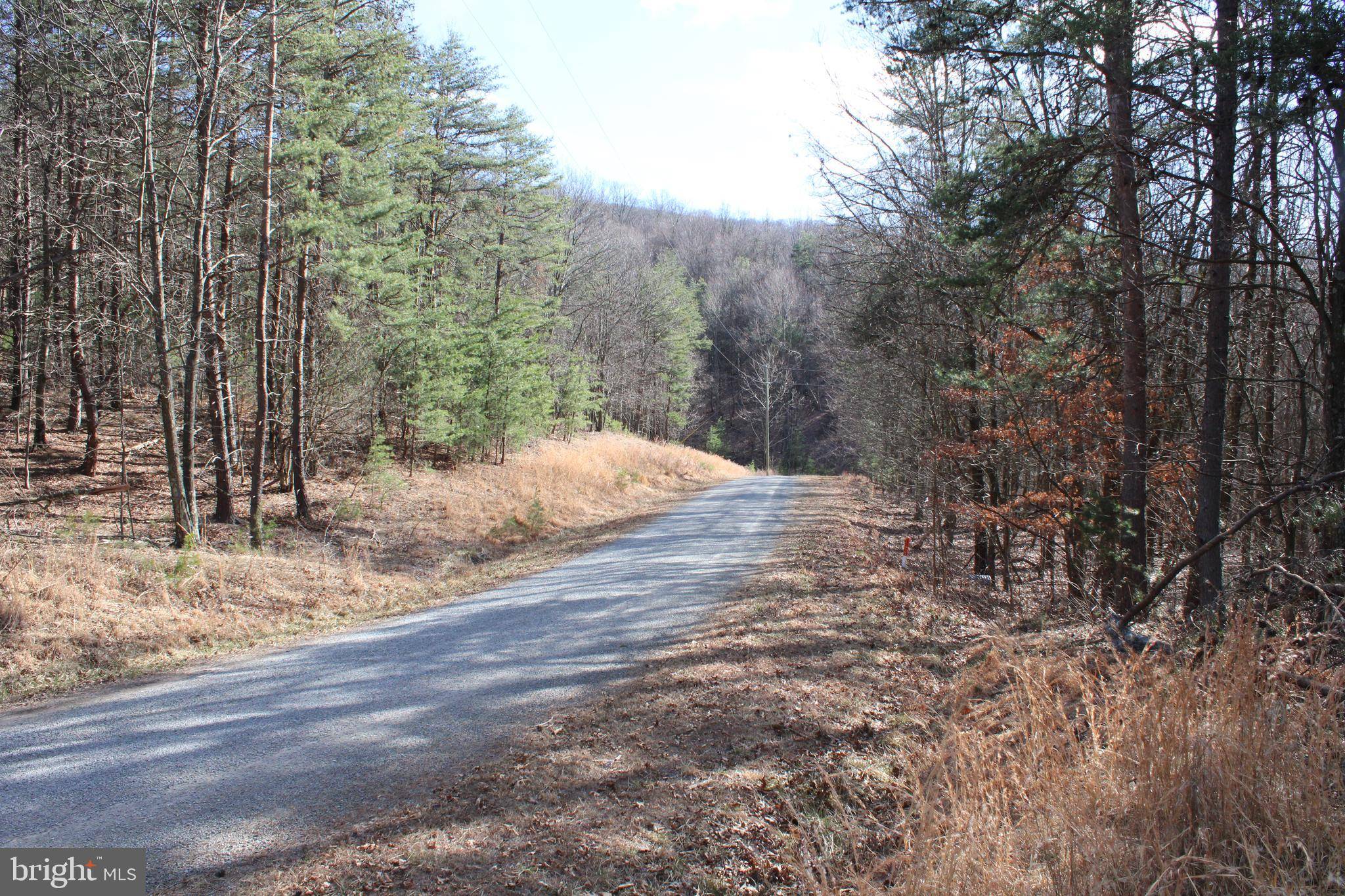 Moorefield, WV 26836,LOT 317 WINTERBERRY DR