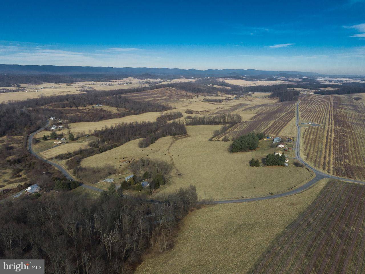 Timberville, VA 22853,7176 WINE STORE