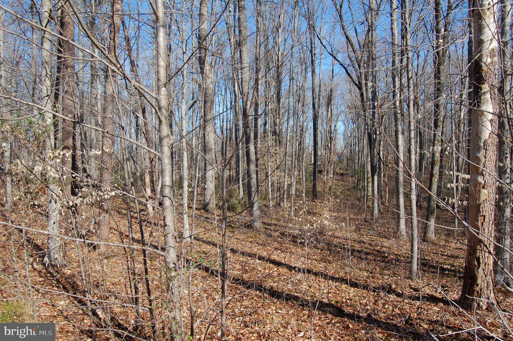 Bumpass, VA 23024,LOT 18 OLD HOUSE RD