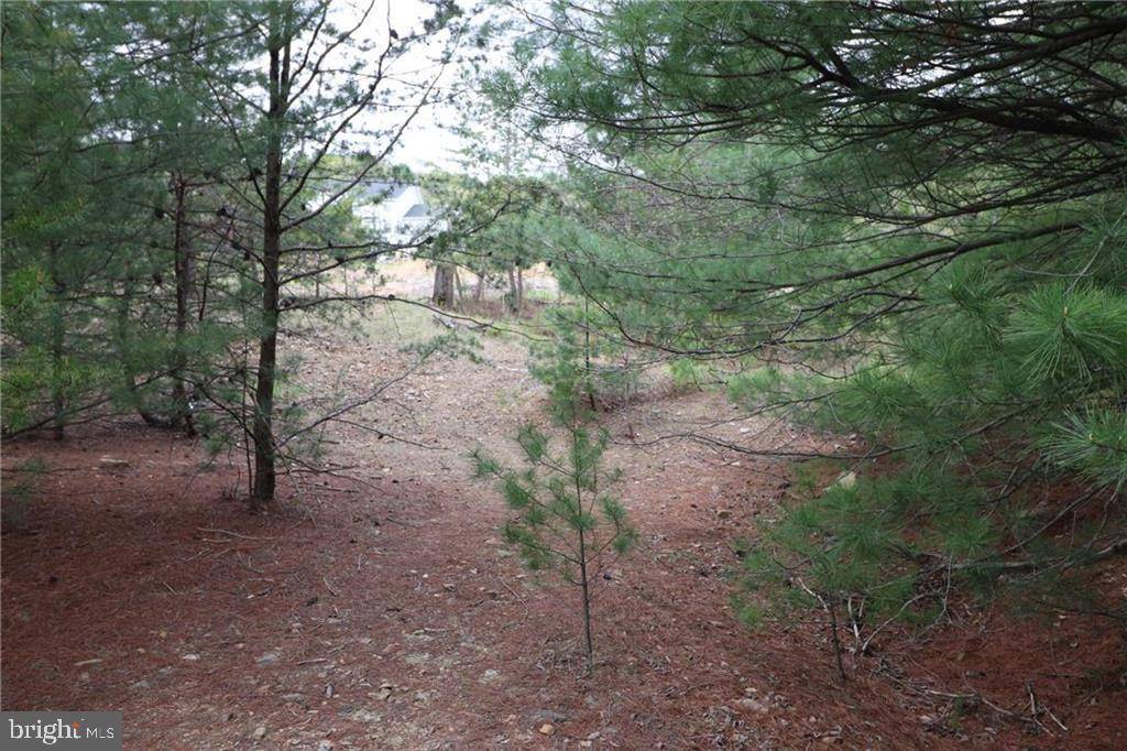 Palmerton, PA 18071,EDGE MONT AVE #LOT #93