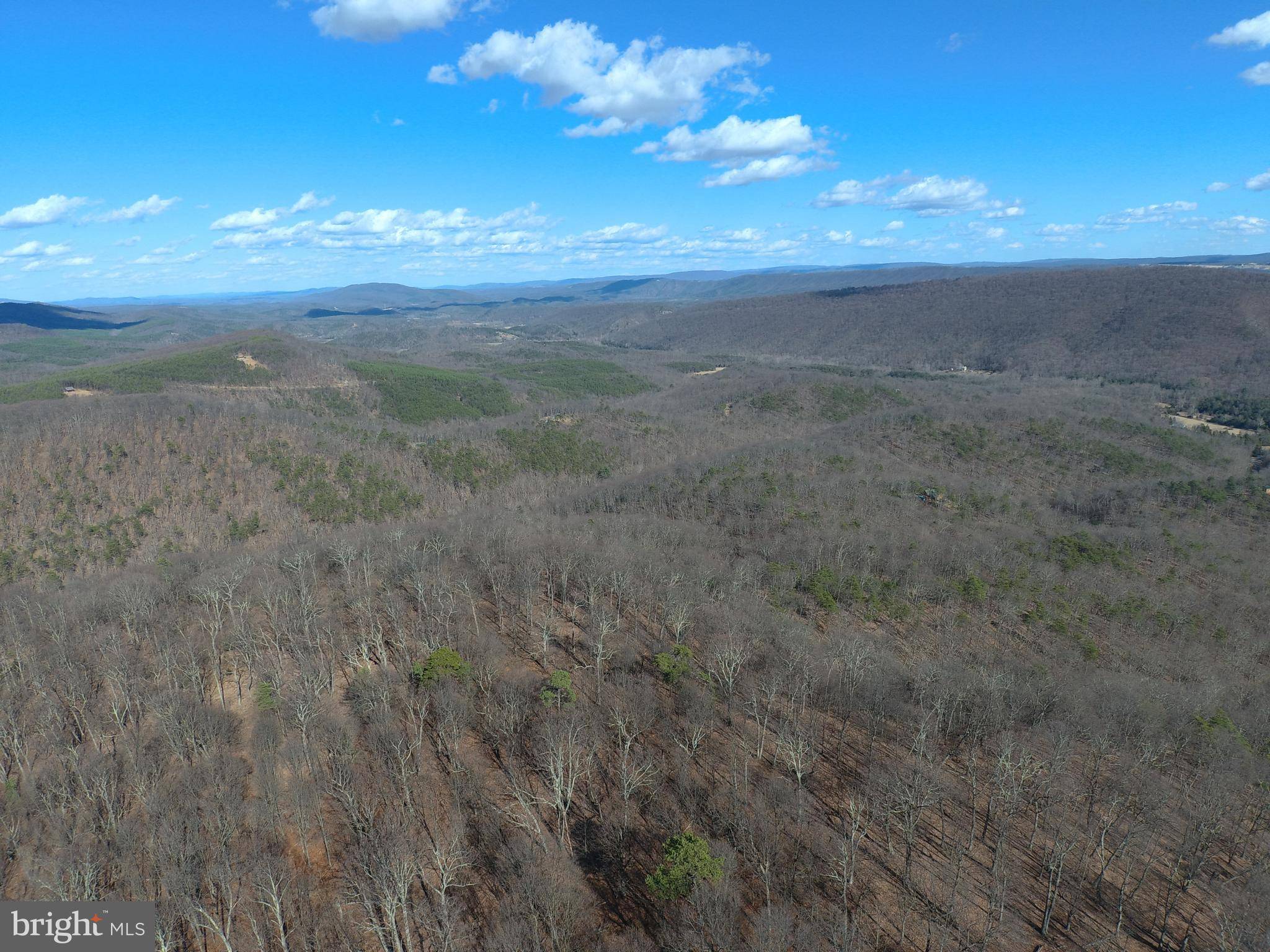 Springfield, WV 26763,224 BLUFFS ON THE POTOMAC