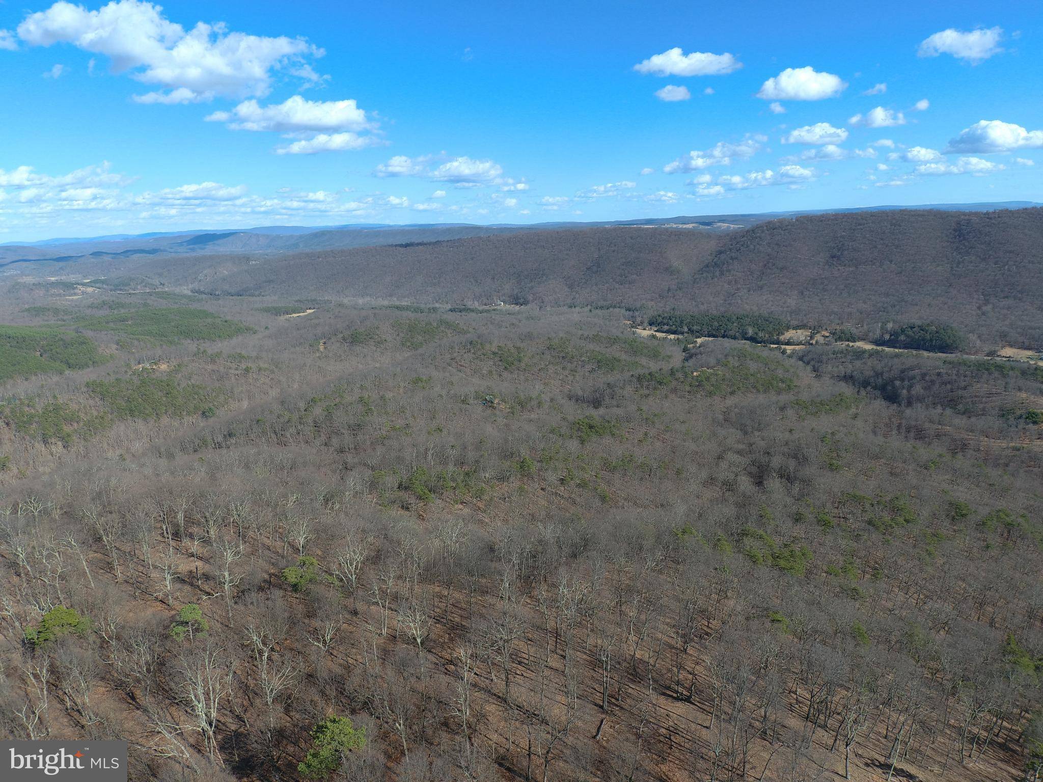 Springfield, WV 26763,224 BLUFFS ON THE POTOMAC