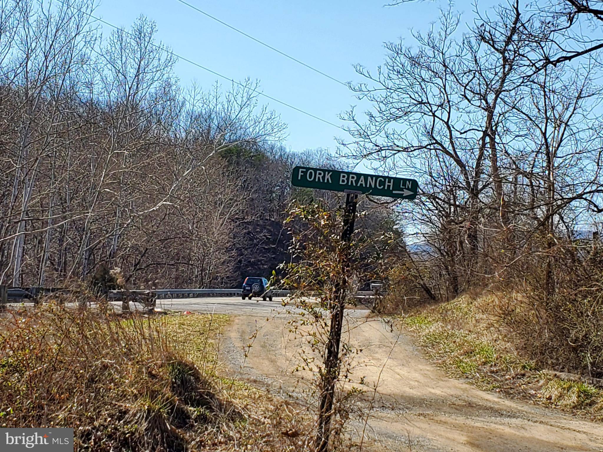 Bloomery, WV 26817,LOT 2 FORK BRANCH LANE