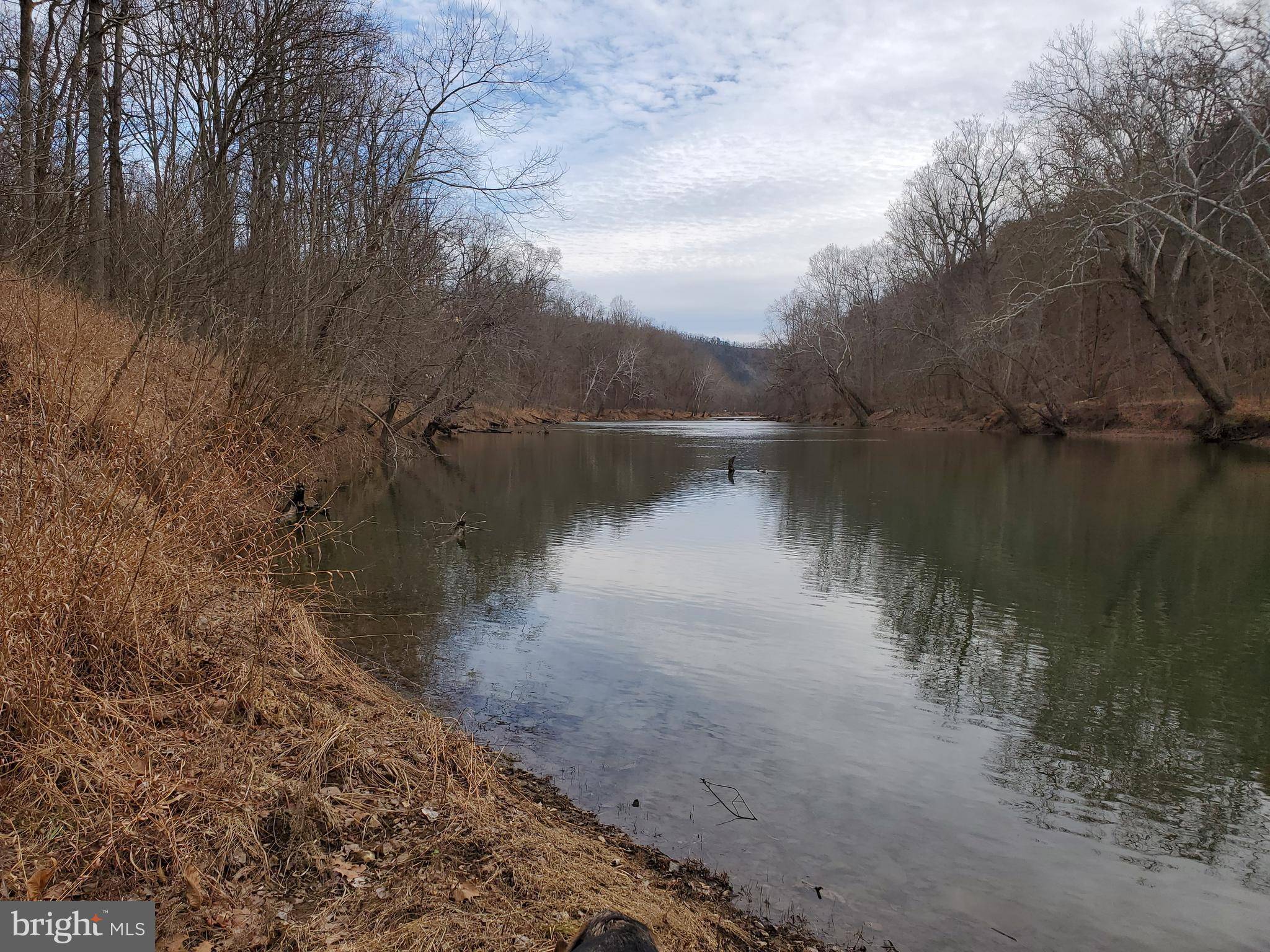 Bloomery, WV 26817,LOT 2 FORK BRANCH LANE