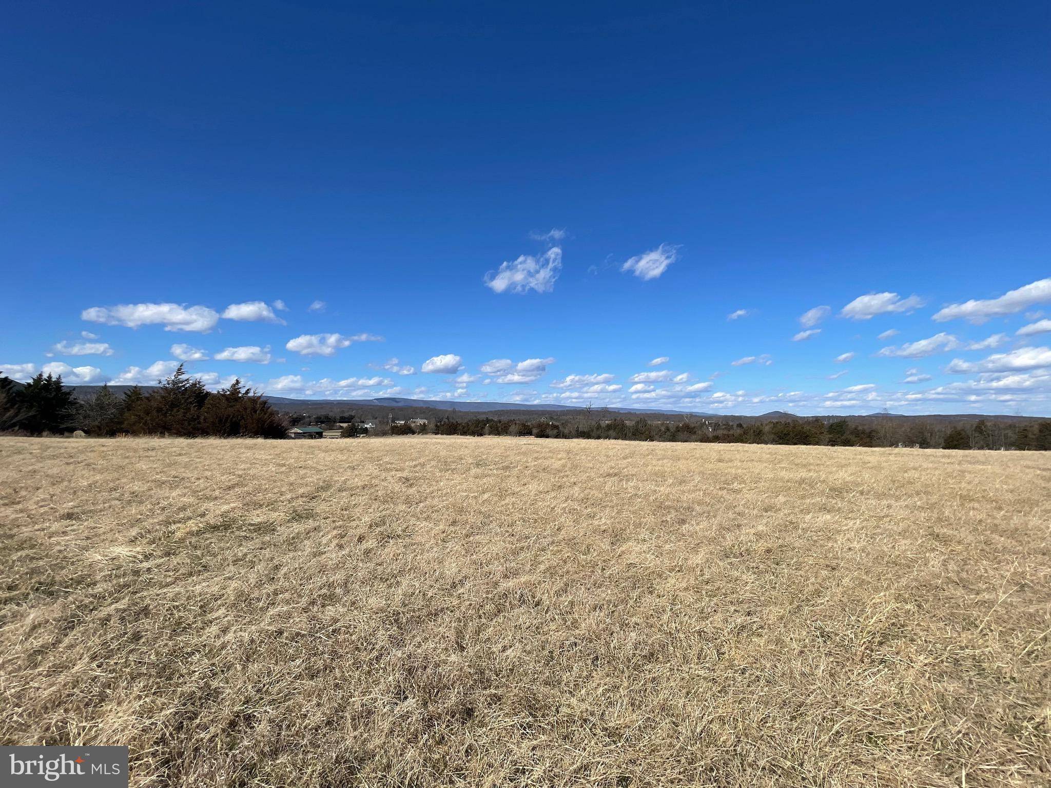 Strasburg, VA 22657,LOT 6 CLARY RD