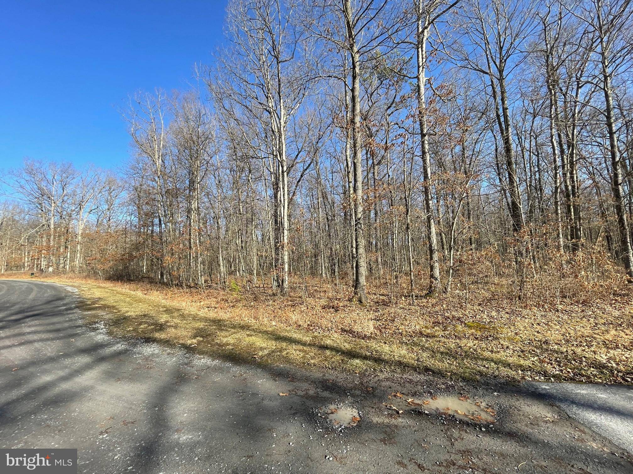 Oakland, MD 21550,LOT 33 GOLDEN WOODS CT