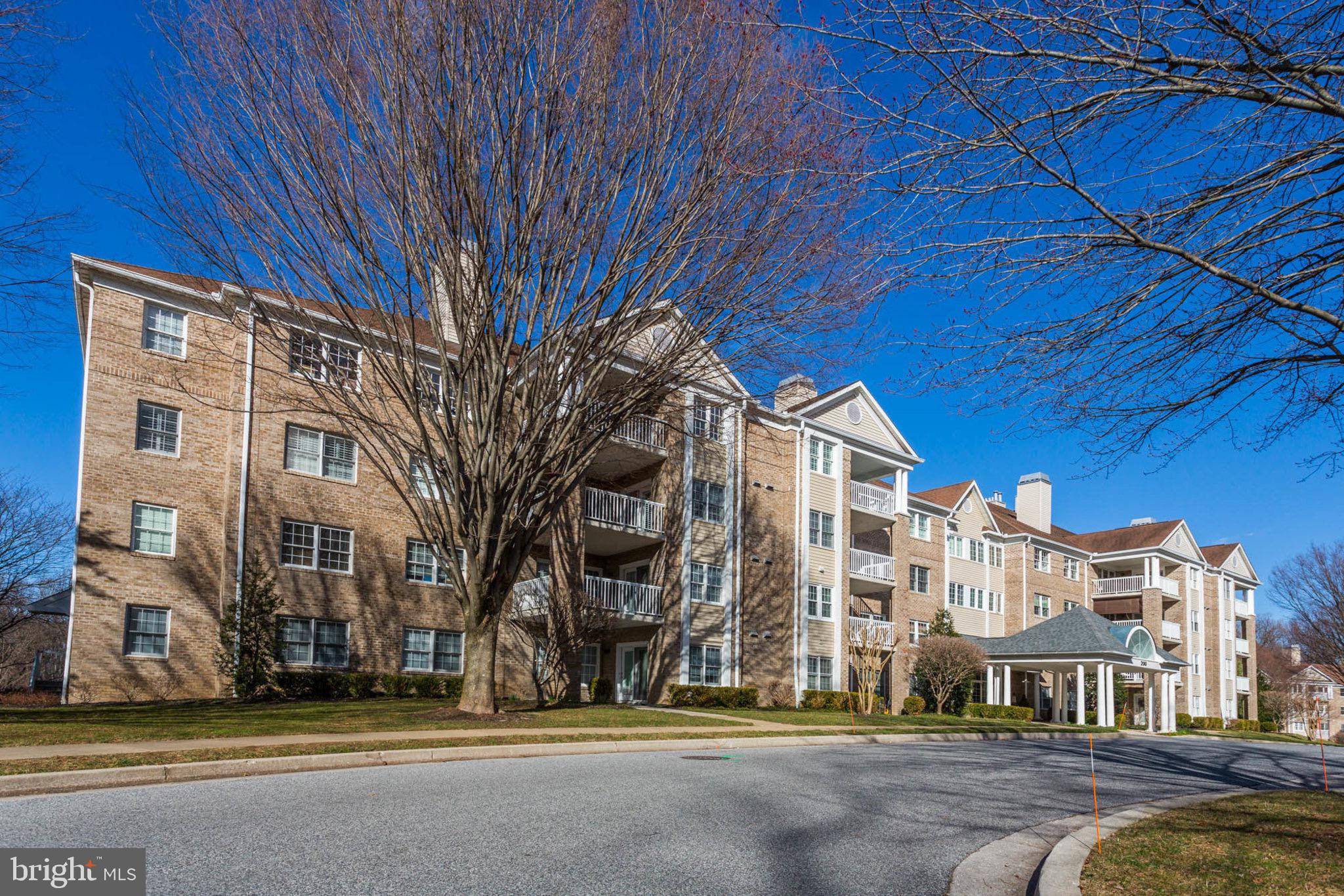 Lutherville Timonium, MD 21093,200 BELMONT FOREST CT #306