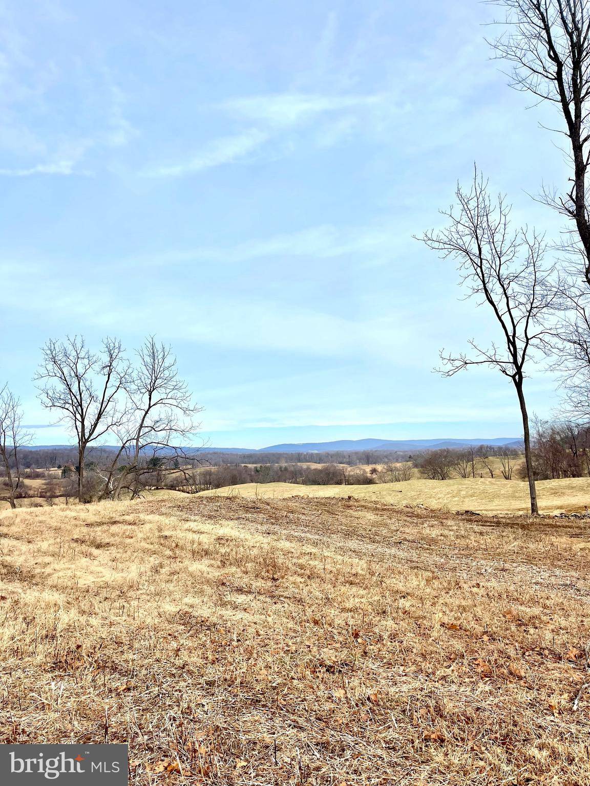 Delaplane, VA 20144,CARRINGTON