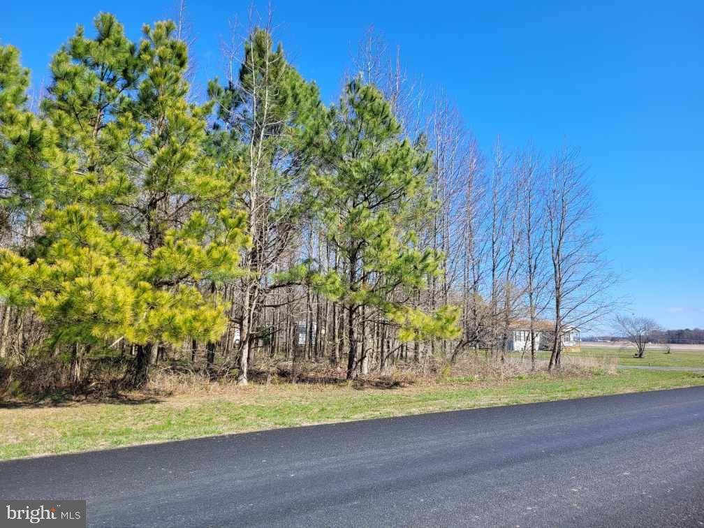 Bridgeville, DE 19933,LOT 5 HARTZELL RD